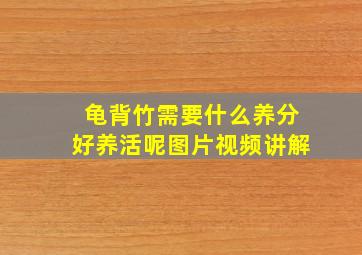 龟背竹需要什么养分好养活呢图片视频讲解