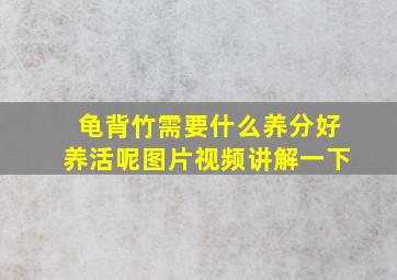 龟背竹需要什么养分好养活呢图片视频讲解一下