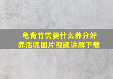 龟背竹需要什么养分好养活呢图片视频讲解下载