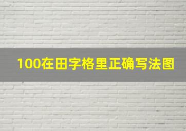 100在田字格里正确写法图