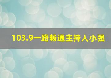 103.9一路畅通主持人小强