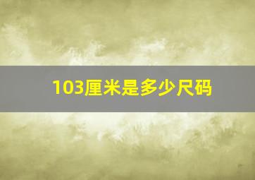 103厘米是多少尺码