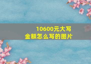 10600元大写金额怎么写的图片