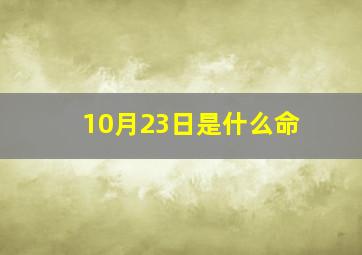 10月23日是什么命