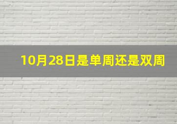 10月28日是单周还是双周