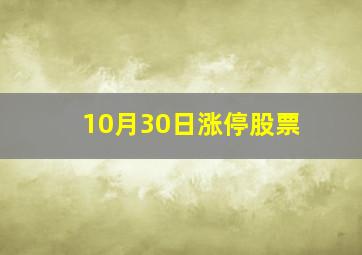 10月30日涨停股票