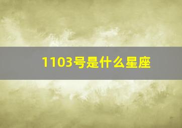 1103号是什么星座