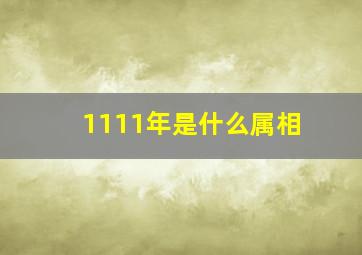 1111年是什么属相