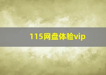 115网盘体验vip