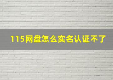 115网盘怎么实名认证不了