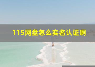 115网盘怎么实名认证啊