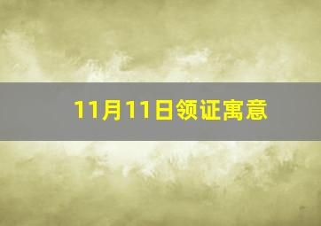 11月11日领证寓意