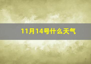 11月14号什么天气