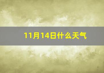 11月14日什么天气