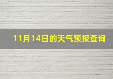 11月14日的天气预报查询