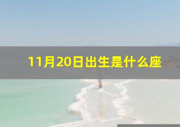 11月20日出生是什么座