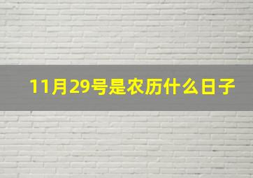 11月29号是农历什么日子