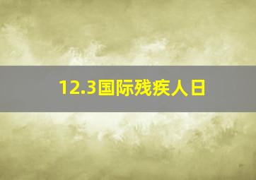 12.3国际残疾人日