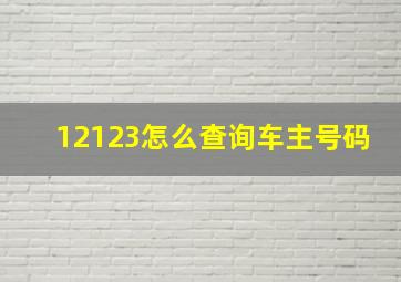 12123怎么查询车主号码