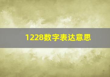 1228数字表达意思