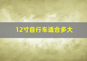 12寸自行车适合多大