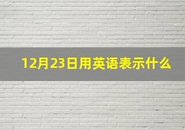 12月23日用英语表示什么