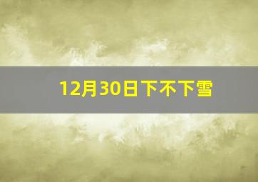 12月30日下不下雪