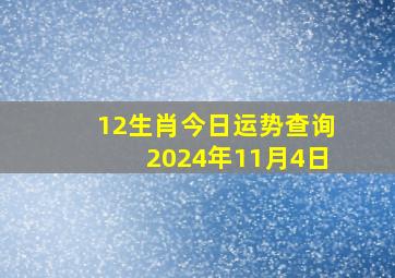 12生肖今日运势查询2024年11月4日