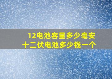 12电池容量多少毫安十二伏电池多少钱一个