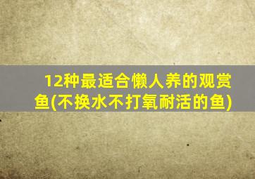 12种最适合懒人养的观赏鱼(不换水不打氧耐活的鱼)