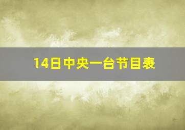 14日中央一台节目表