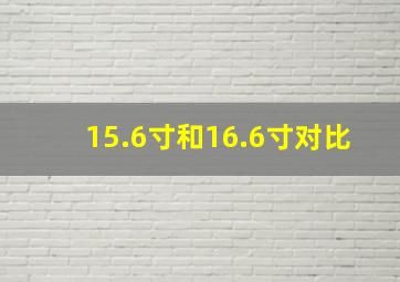 15.6寸和16.6寸对比