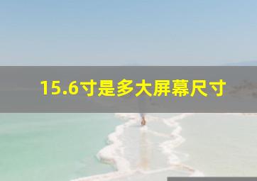 15.6寸是多大屏幕尺寸