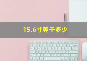 15.6寸等于多少