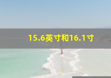 15.6英寸和16.1寸