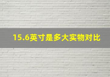 15.6英寸是多大实物对比