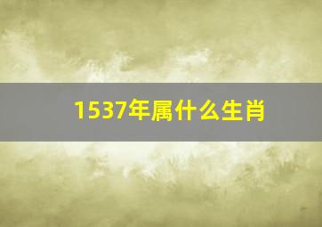 1537年属什么生肖