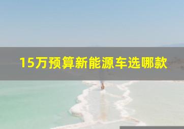 15万预算新能源车选哪款