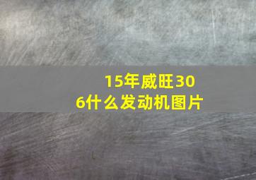 15年威旺306什么发动机图片