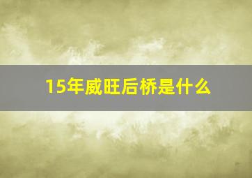 15年威旺后桥是什么