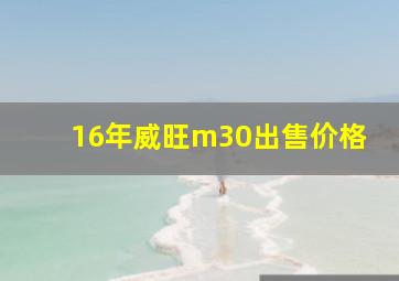 16年威旺m30出售价格