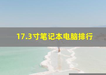 17.3寸笔记本电脑排行