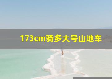 173cm骑多大号山地车