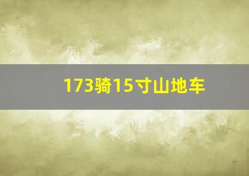 173骑15寸山地车