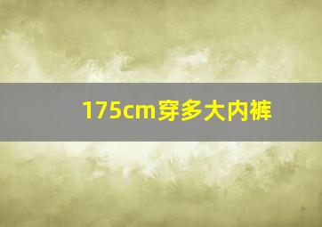 175cm穿多大内裤