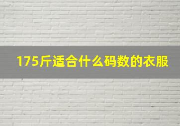 175斤适合什么码数的衣服