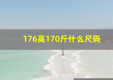 176高170斤什么尺码