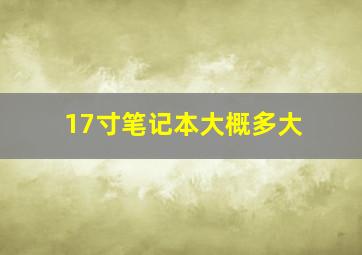 17寸笔记本大概多大