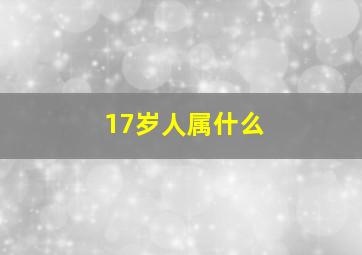 17岁人属什么