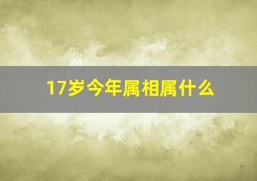 17岁今年属相属什么